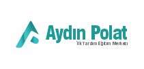 AYDIN POLAT 